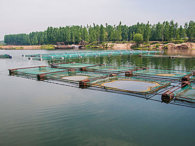 水產養殖